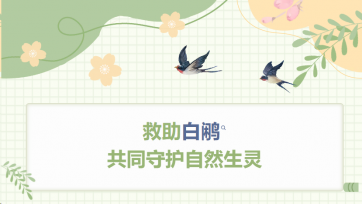 救助白鹇，共同守护天然生灵